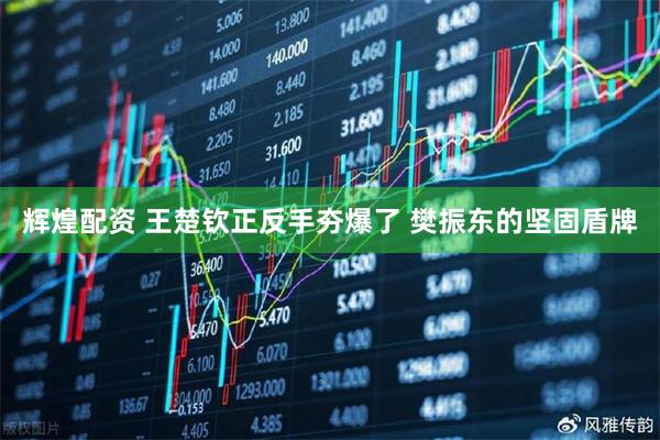 辉煌配资 王楚钦正反手夯爆了 樊振东的坚固盾牌