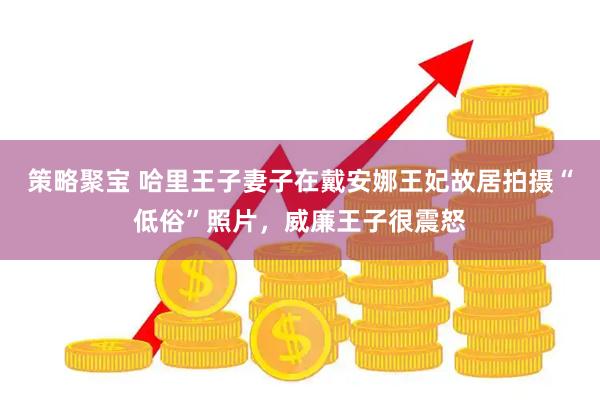 策略聚宝 哈里王子妻子在戴安娜王妃故居拍摄“低俗”照片，威廉王子很震怒